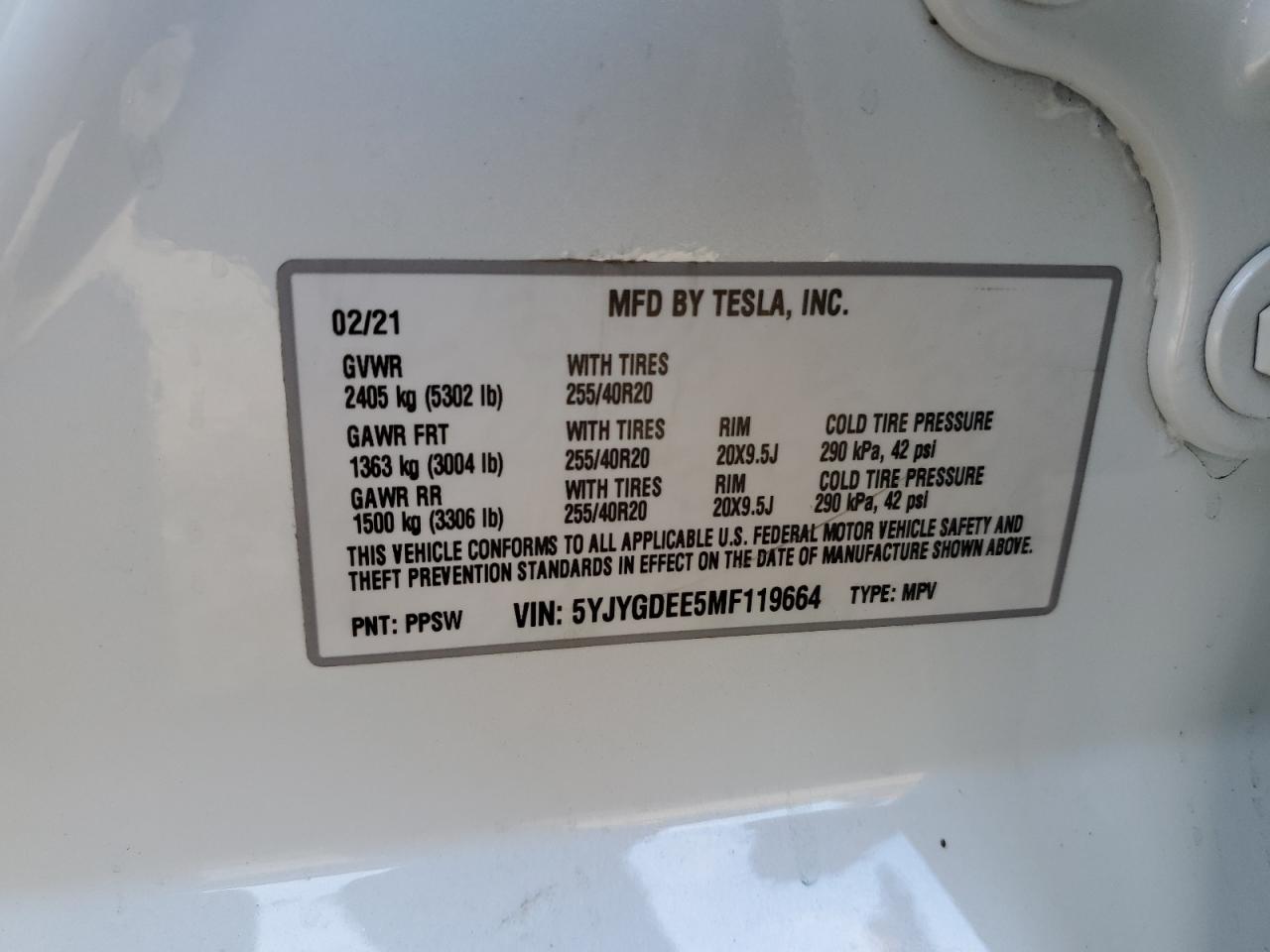 Tesla Model Y Image 5