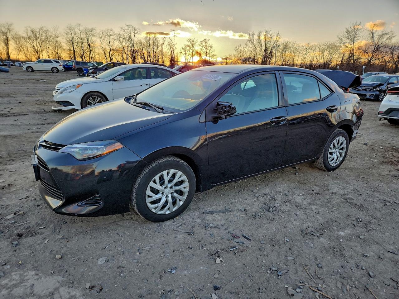 Toyota Corolla L Image 1