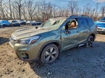  Salvage Subaru Forester
