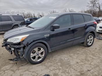  Salvage Ford Escape