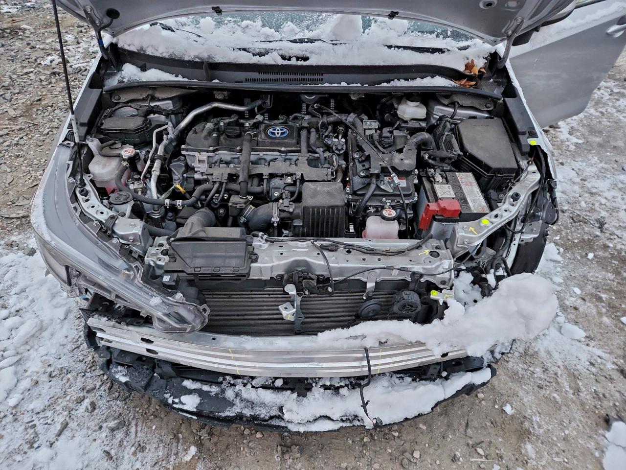 Toyota Corolla Le Image 7