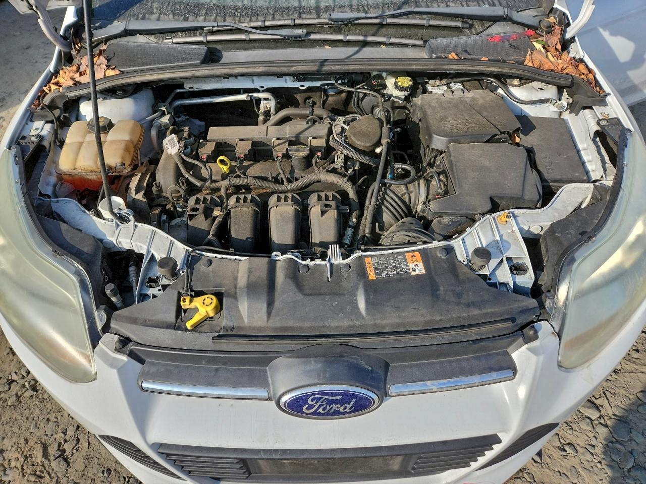 Ford Focus Se Image 12