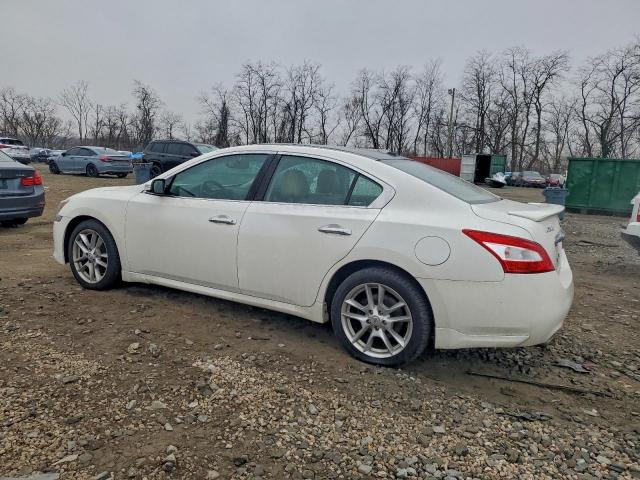 Nissan Maxima S Image 3