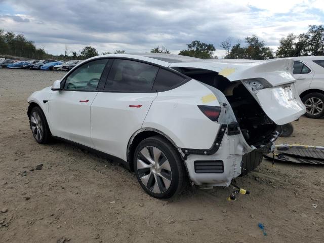 Tesla Model Y Image 2