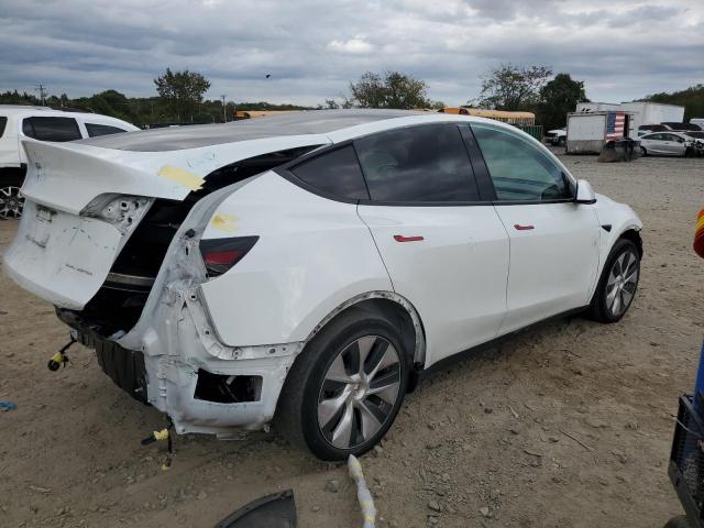 Tesla Model Y Image 7