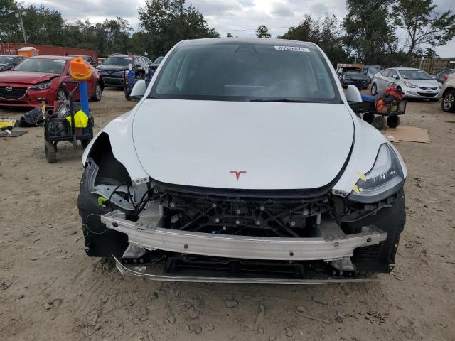 Tesla Model Y Image 5