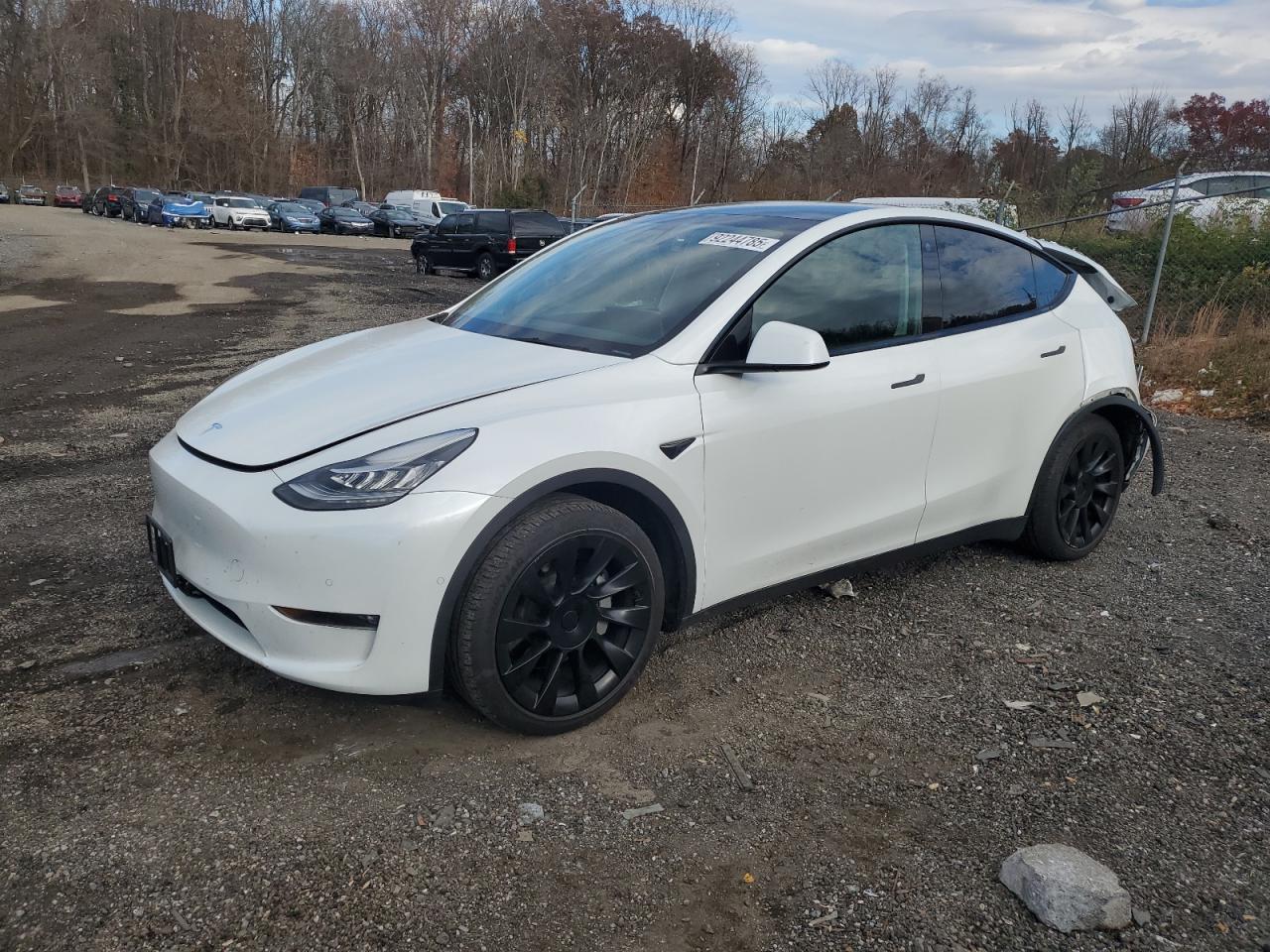 Tesla Model Y Image 1