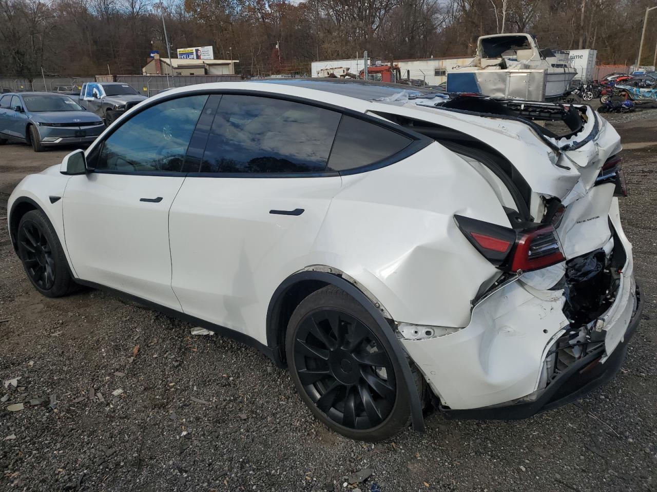 Tesla Model Y Image 3