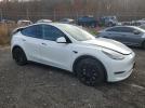 Tesla Model Y Image 11