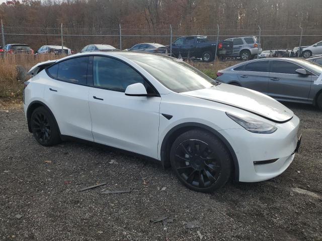 Tesla Model Y Image 11