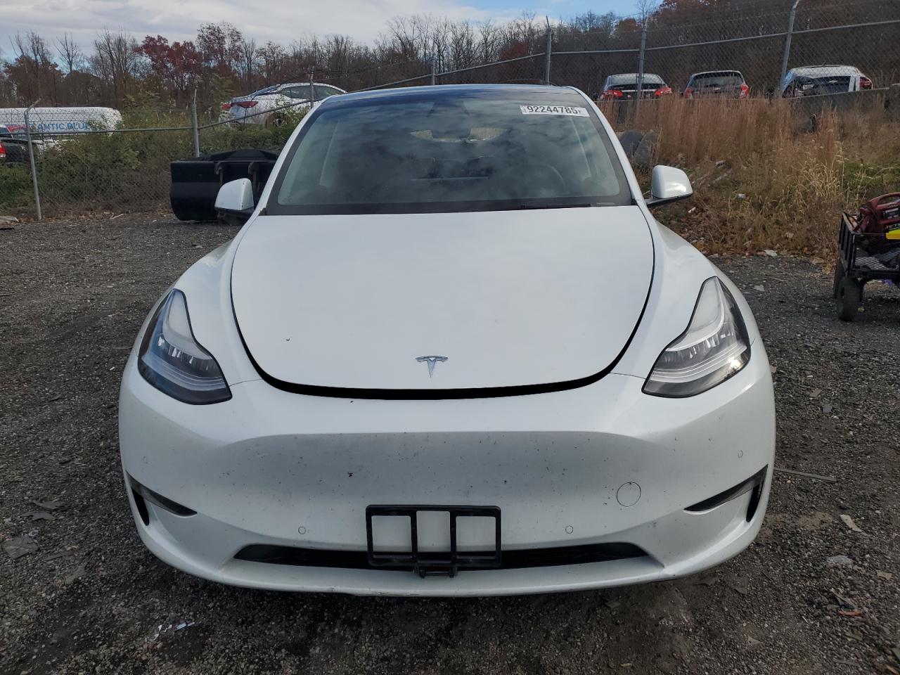 Tesla Model Y Image 2