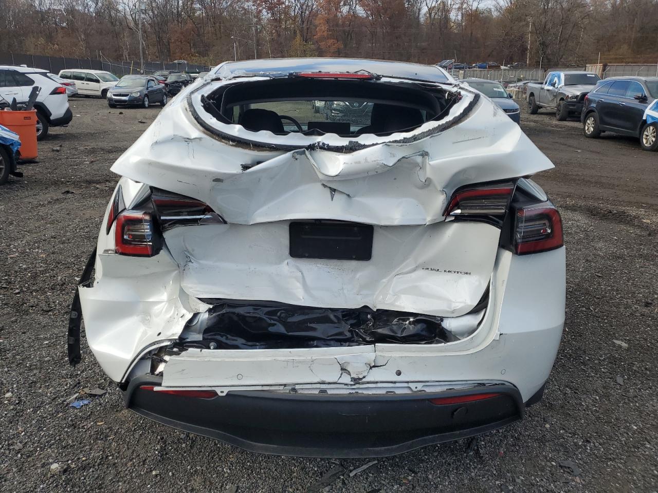 Tesla Model Y Image 6