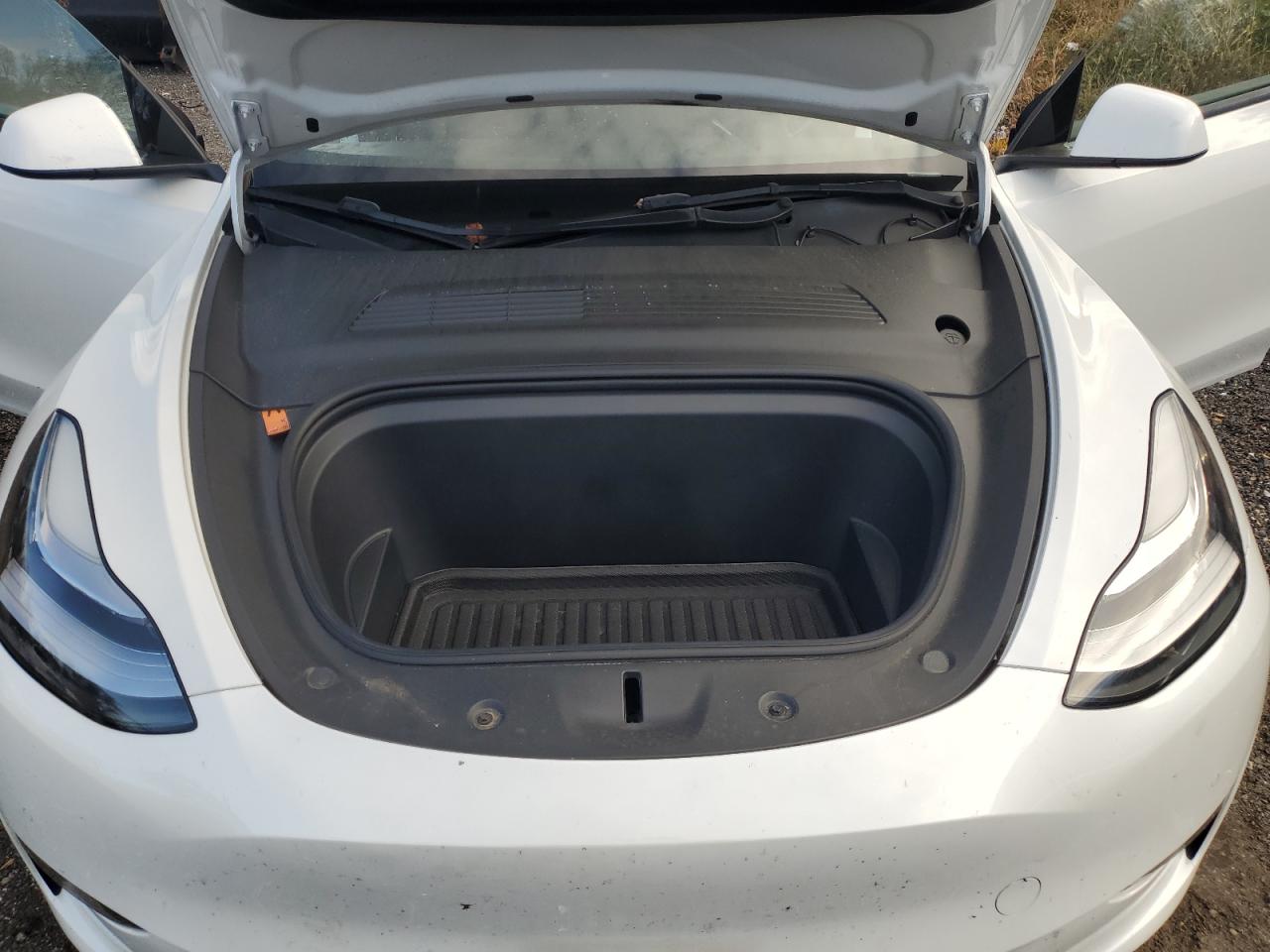 Tesla Model Y Image 9