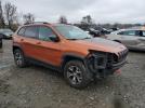 Jeep Cherokee Trailhawk Image 3