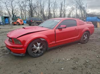  Salvage Ford Mustang