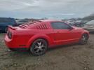 Ford Mustang Image 2