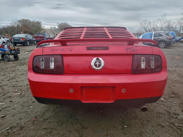 Ford Mustang Image 8